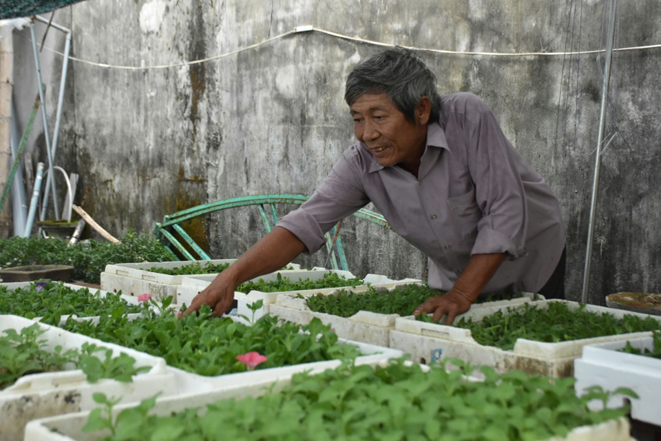 Ông Nguyễn Tấn Tín lựa chọn mô hình trồng hoa, cây cảnh để làm kinh tế.