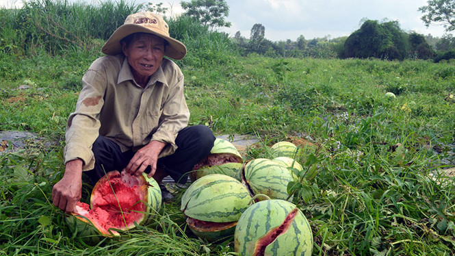 Mô tả ảnh