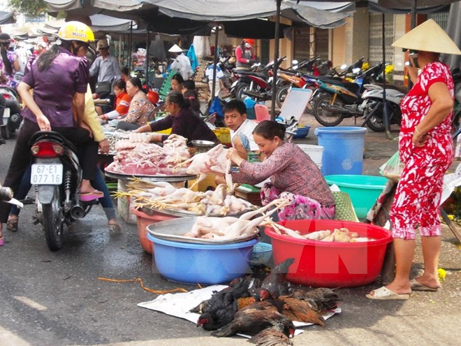 Giá thịt lợn hơi tăng nhẹ trong khi giá thịt gia cầm giảm sâu